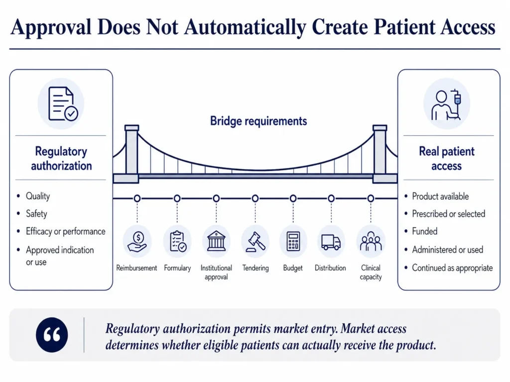 Healthcare market-access bridge connecting regulatory approval with reimbursement, institutional adoption, procurement, distribution, and patient treatment.