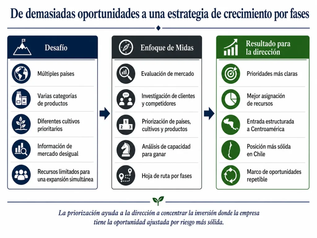Caso de consultoría de productos agrícolas que muestra el desafío, el enfoque de Midas y la estrategia de crecimiento por etapas resultante.